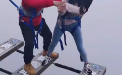 高空树懒小姐姐,揭秘神秘树屋中的生活奇遇