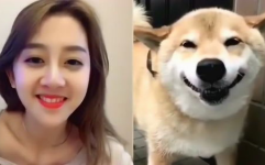 小姐姐和狗的壁纸热门图,小姐姐与狗狗壁纸热门图集锦